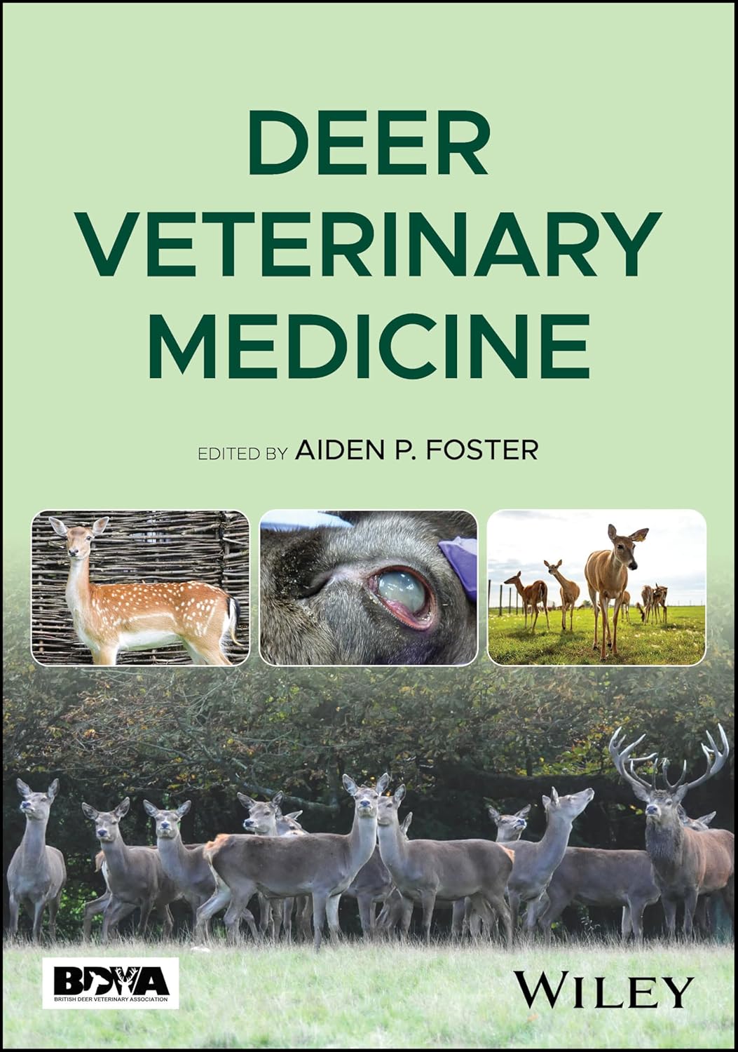 Deer Veterinary Medicine 1st Edition