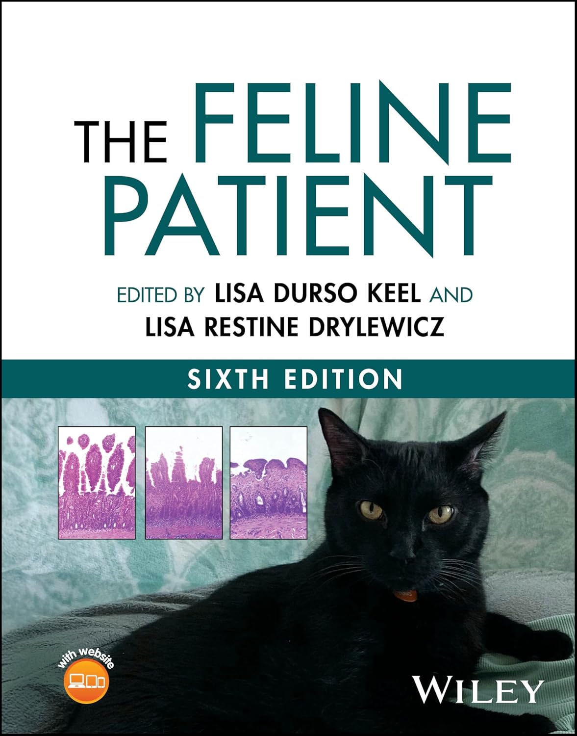 The Feline Patient 6th Edition  Volumes 1, 2 & 3