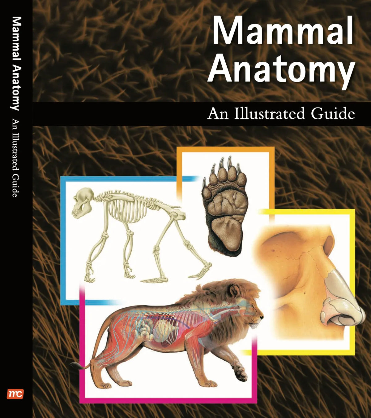 Mammal Anatomy: An Illustrated Guide