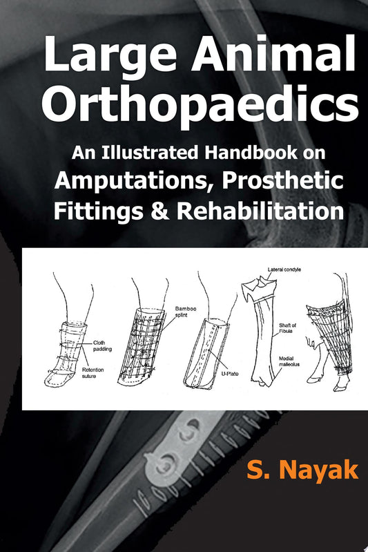 Large Animal Orthopaedics Fittings And Rehabilitations