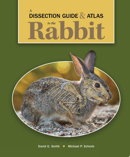 A Dissection Guide & Atlas to the Rabbit